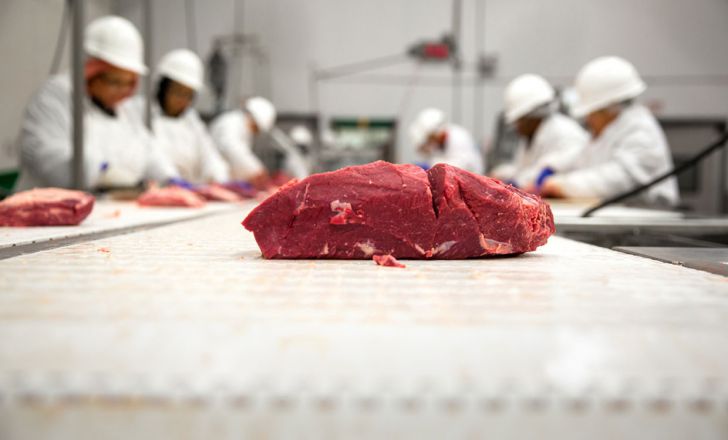 از کمبود نهاده‌های دامی تا احتمال گرانی گوشت قرمز در ماه‌های آینده //// وضعیت قرمز قیمت گوشت
