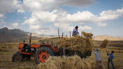 خرید تضمینی ۶ هزار میلیارد تومان گندم