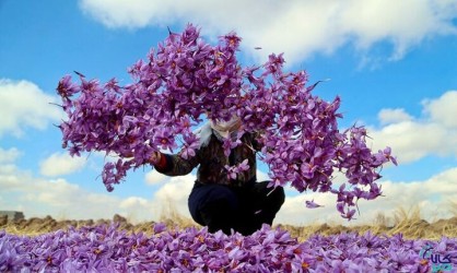 چالش‌های بورسی‌ زعفران